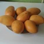 Sabrina-gerty Vignerol