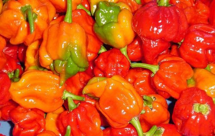 Voici comment le piment peut réduire le risque de crise cardiaque et augmenter votre durée de vie